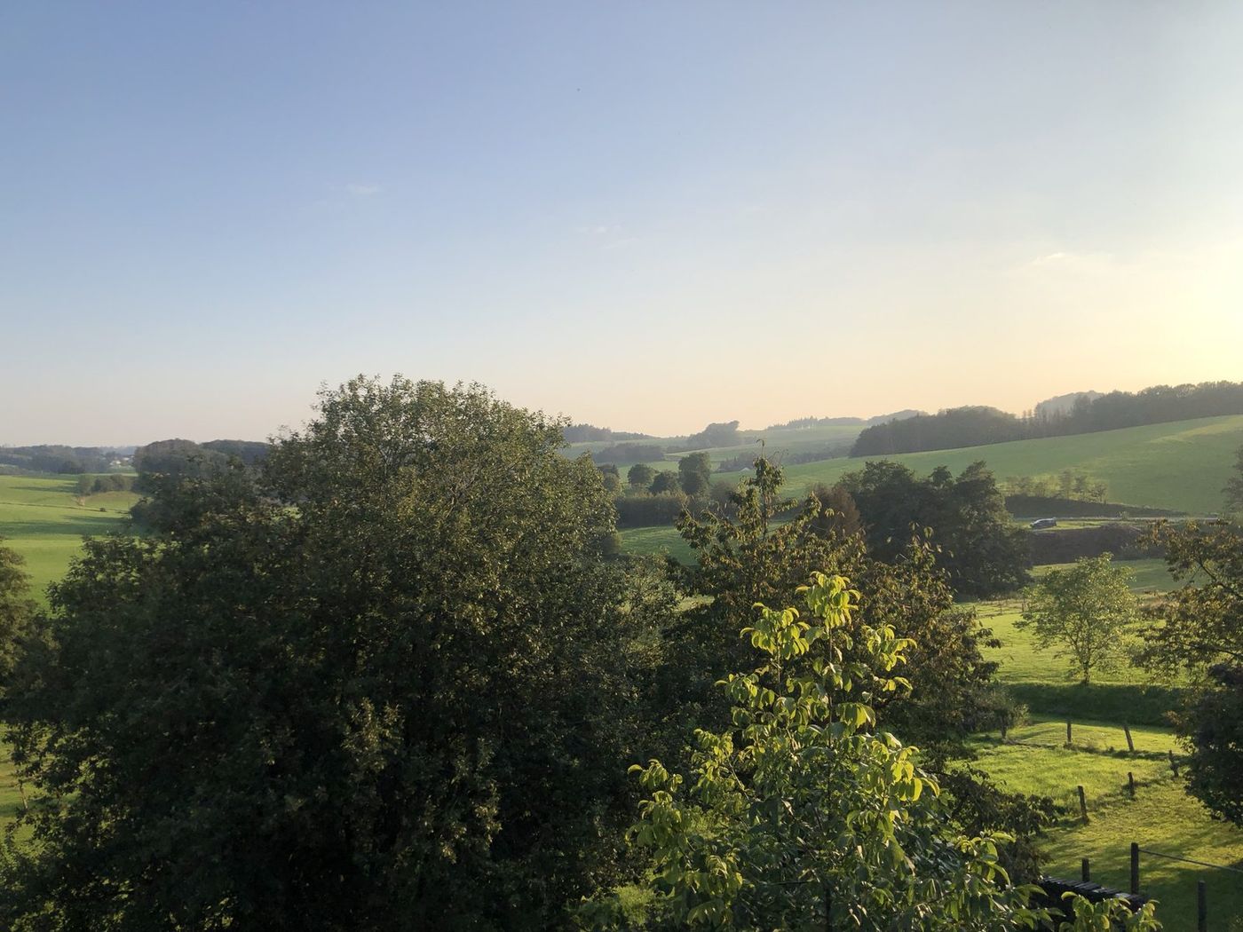 Weite Landschaft im warmen Abendlicht